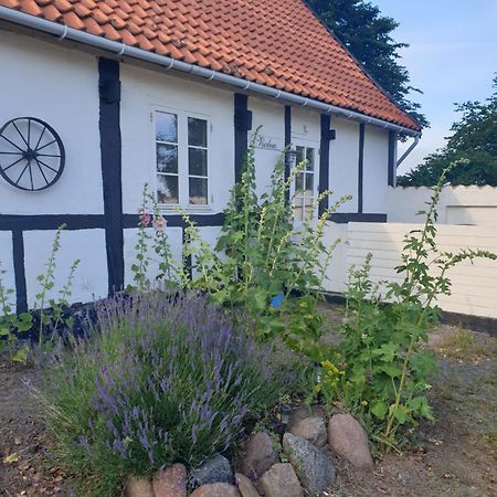 ÅkirkebyViolen公寓 外观 照片